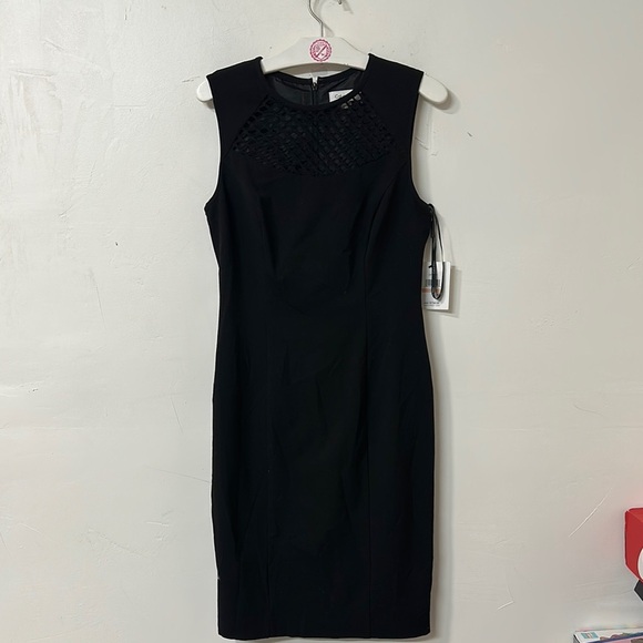Elegant Black Sleeveless Dress - Picture 1 of 4
